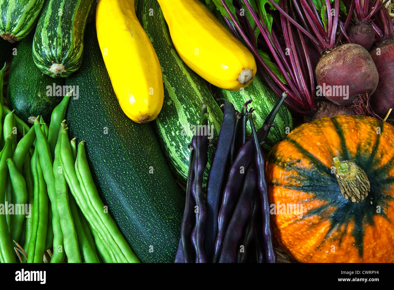 Une sélection de légumes cultivés et récoltés sur un allotissement Banque D'Images