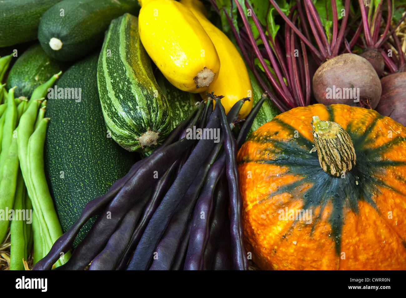 Une sélection de légumes cultivés et récoltés sur un allotissement Banque D'Images