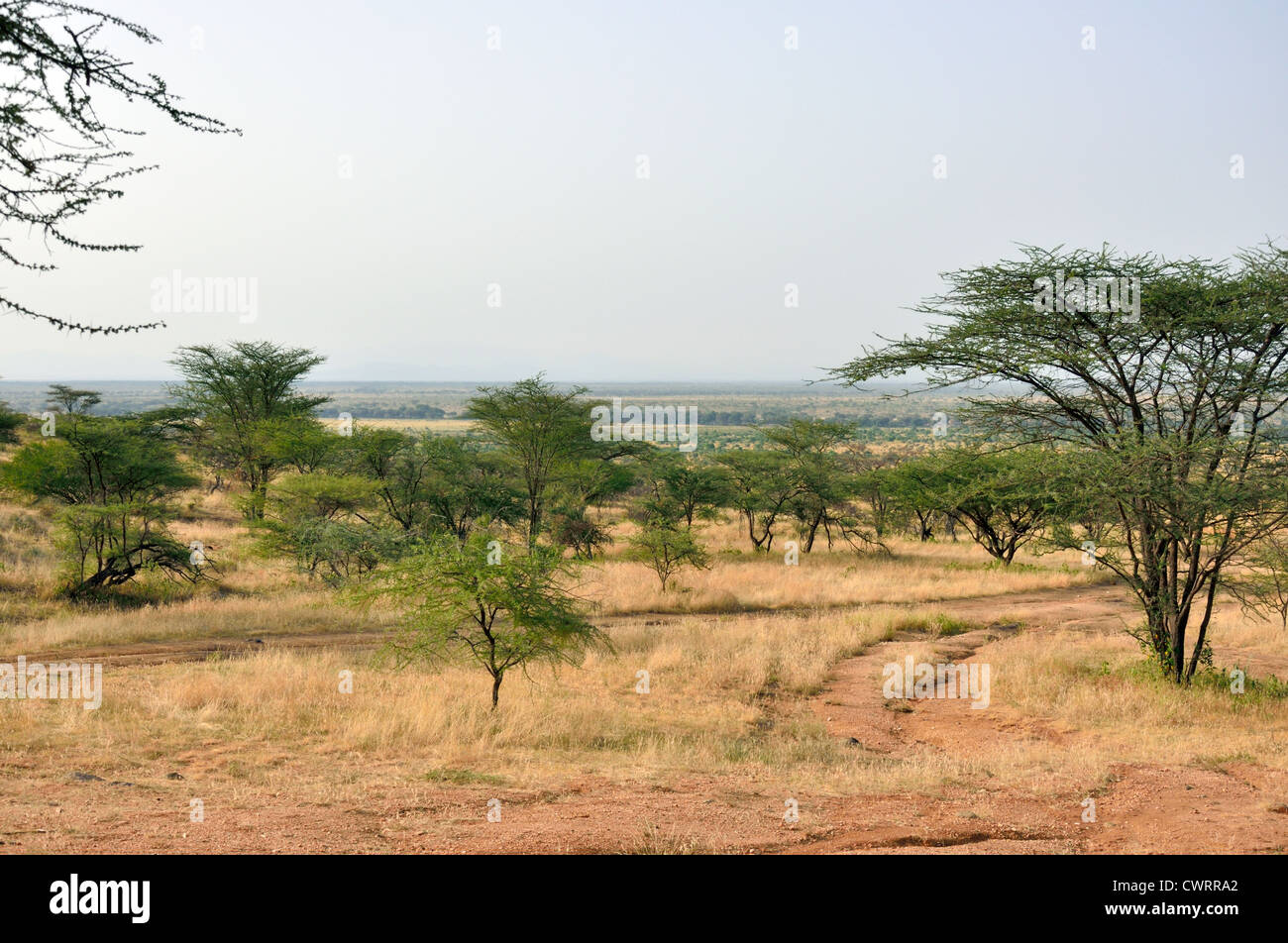 Paysage de savane à Samburu Banque D'Images