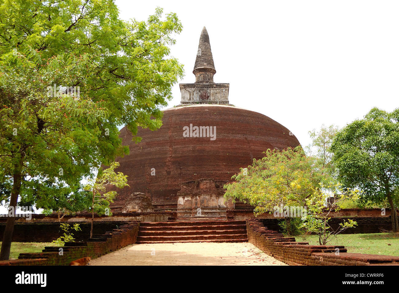 Le stupa Le Vehera à Polonnaruwa, Sri Lanka Banque D'Images