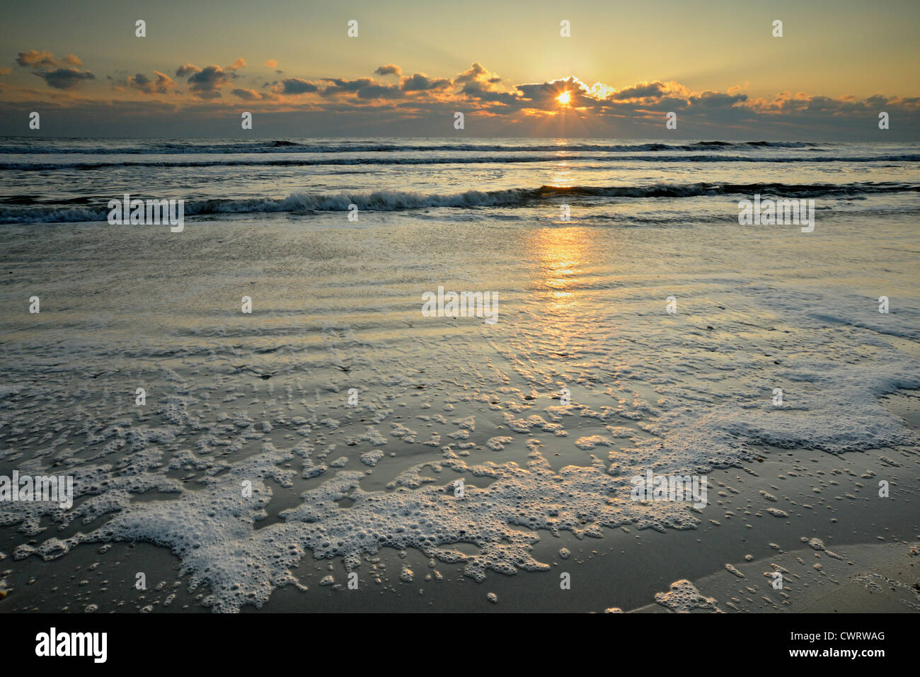 Plage de l'Atlantique à l'aube, Anastasia State Park, Saint Augustine, Floride, USA Banque D'Images