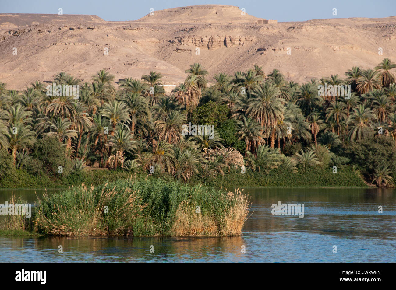 La Haute Égypte, Nil campagne entre Louxor et Assouan Banque D'Images