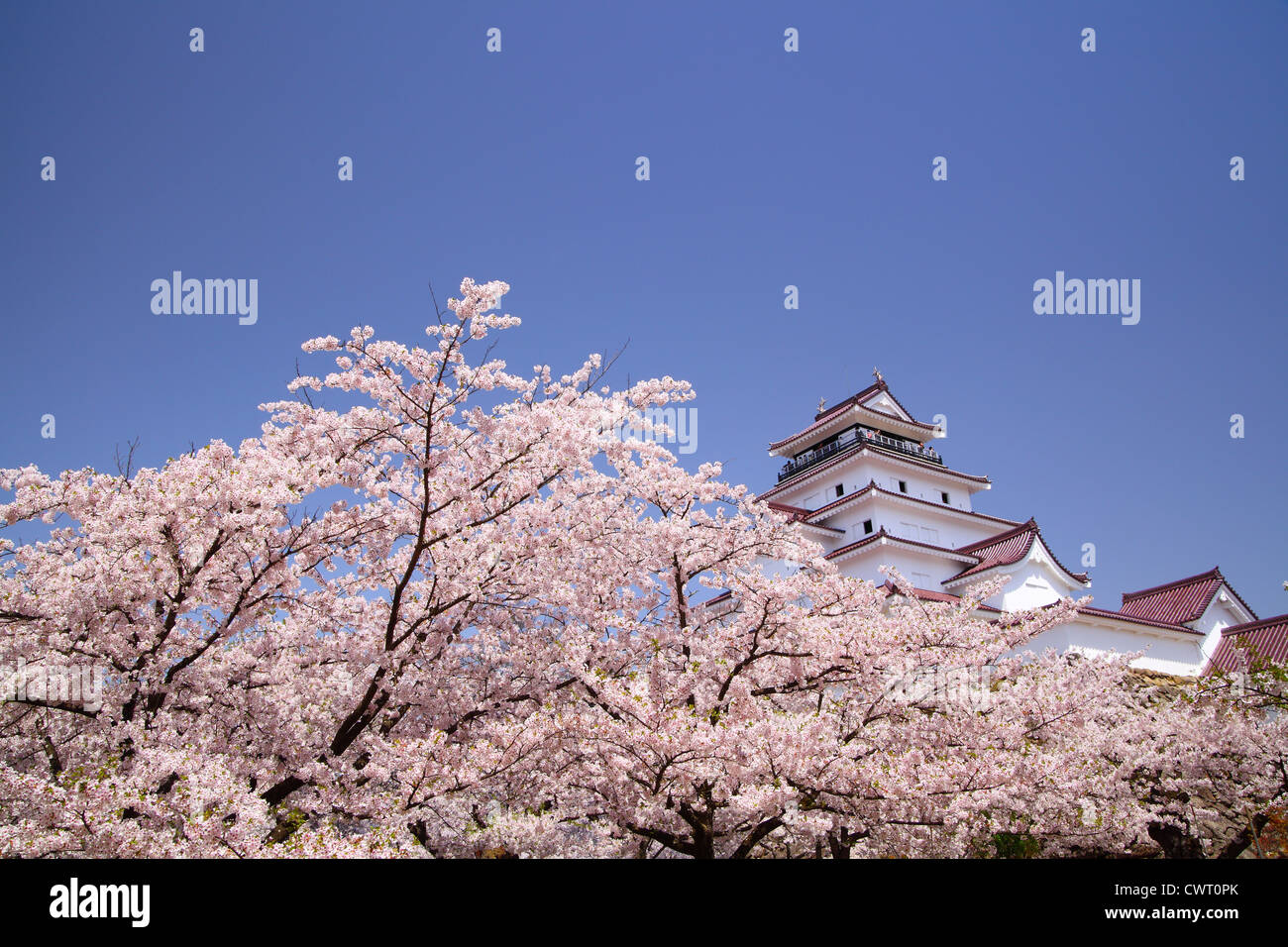 Aizuwakamatsu Castle et cherry blossom de Fukushima, au Japon Banque D'Images