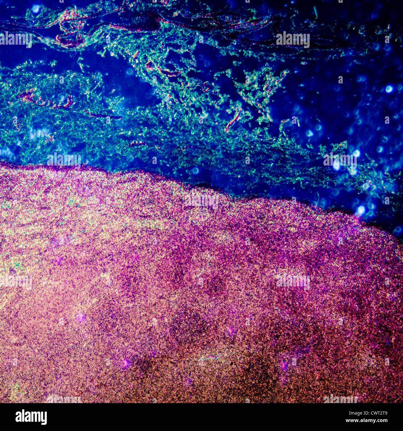 Medical science anthropotomy article microscopique physiologie du tissu des glandes lymphatiques background Banque D'Images