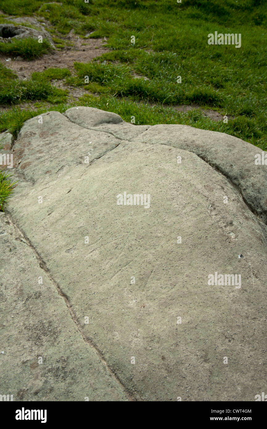 Sanglier incisées dans style pictes, ainsi qu'une inscription dans le script ogham à Dunadd fort de colline. Kilmartin. L'Argyll. 8334 SCO Banque D'Images