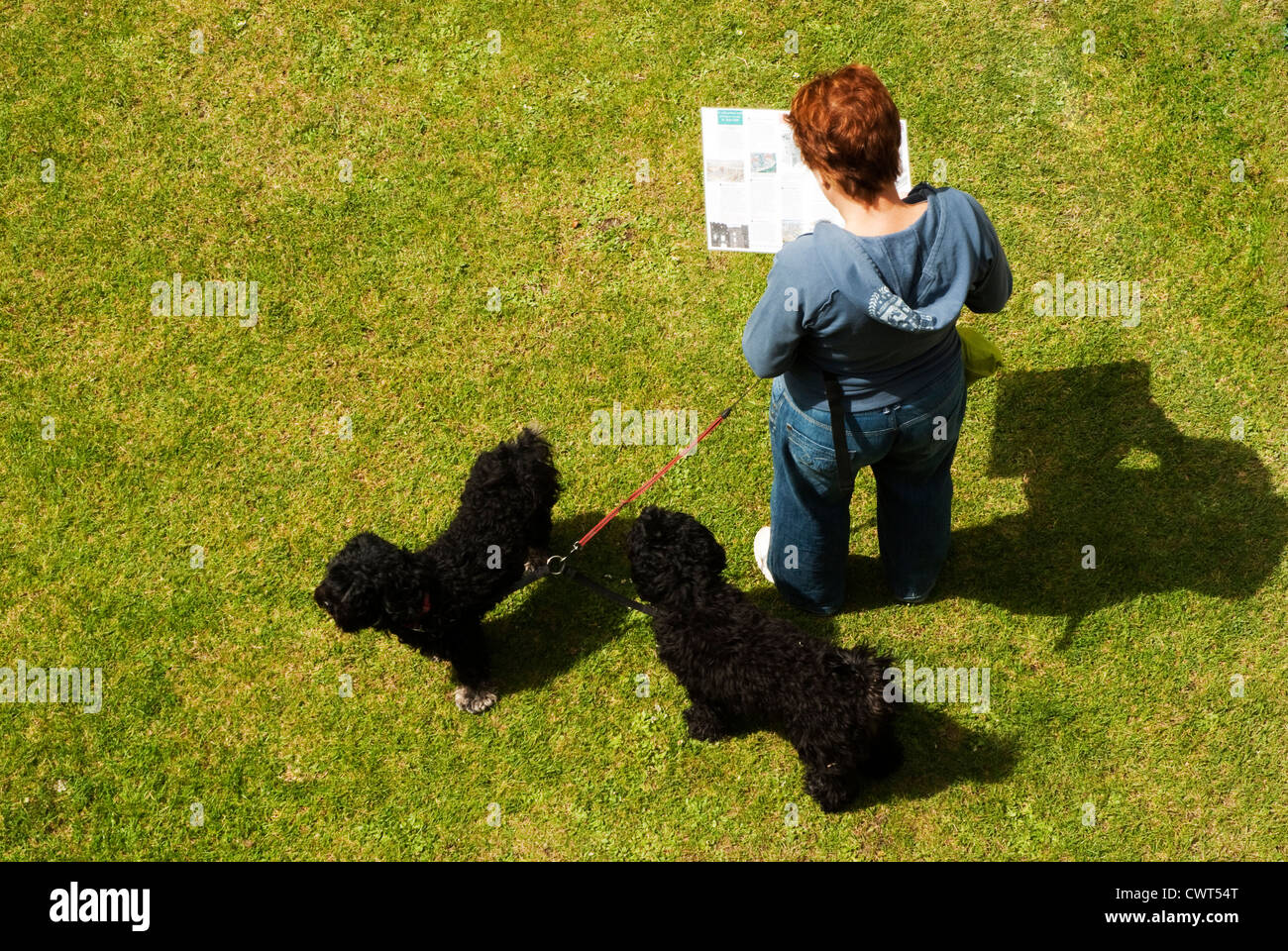 Une femme lisant un guide tout en tenant deux chiens noirs en laisse prises d'en haut. Banque D'Images