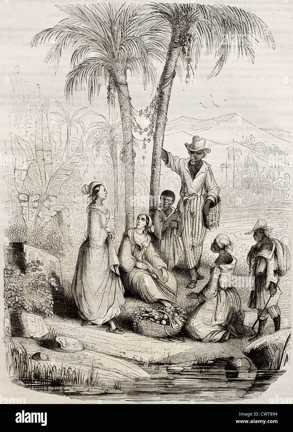 La population antillaise Banque D'Images