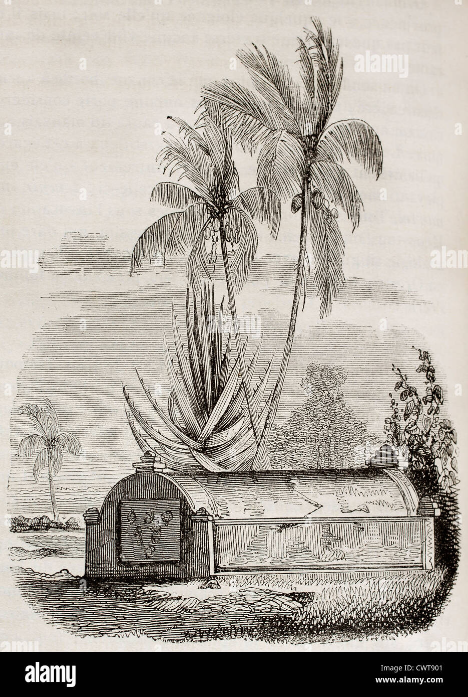 Tombeau de Malaisie au Timor, Lesser Sunda islands Banque D'Images