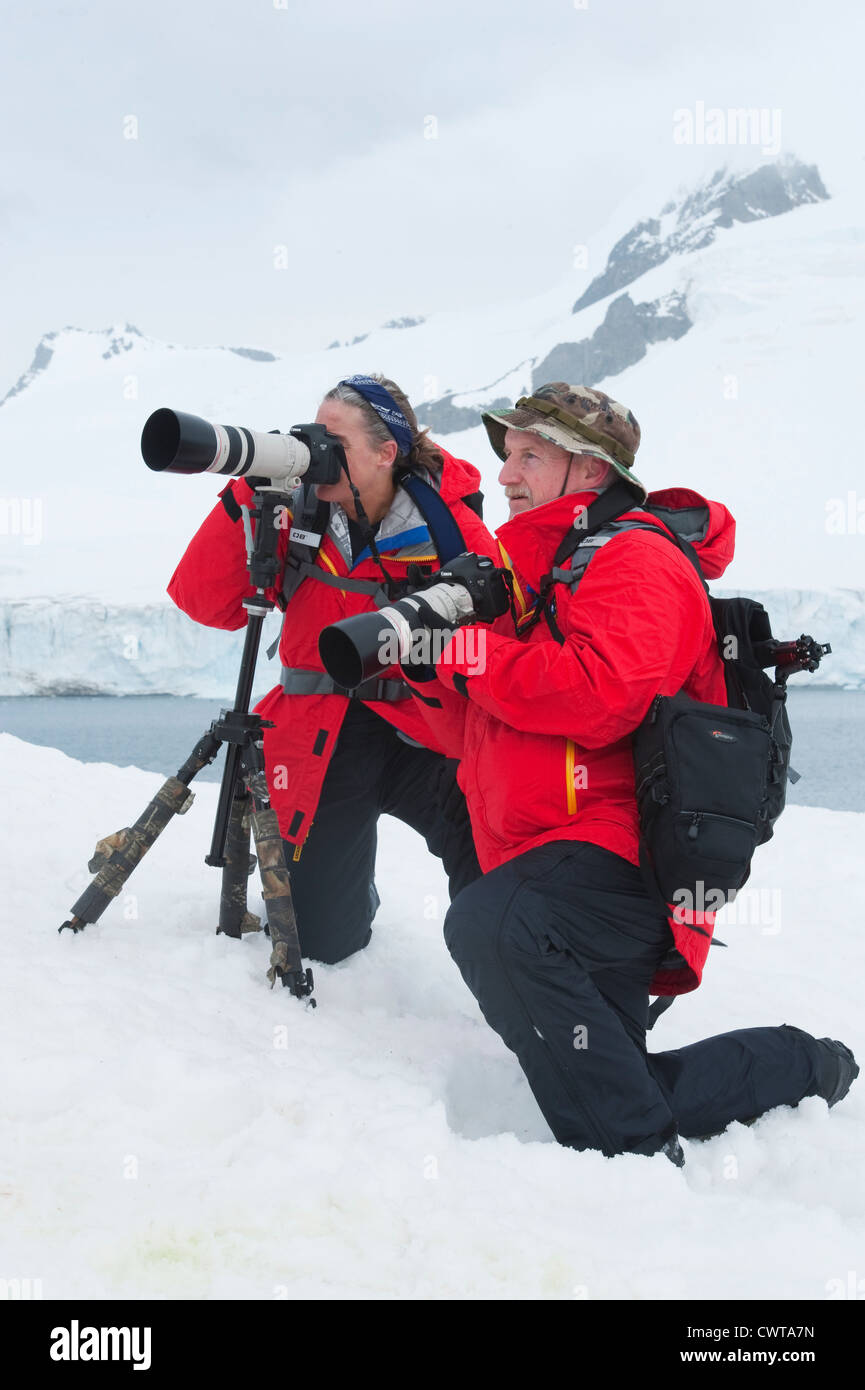En photographiant la jugulaire colonie de pingouins, Half Moon Island, Îles Shetland du Sud, l'Antarctique Banque D'Images
