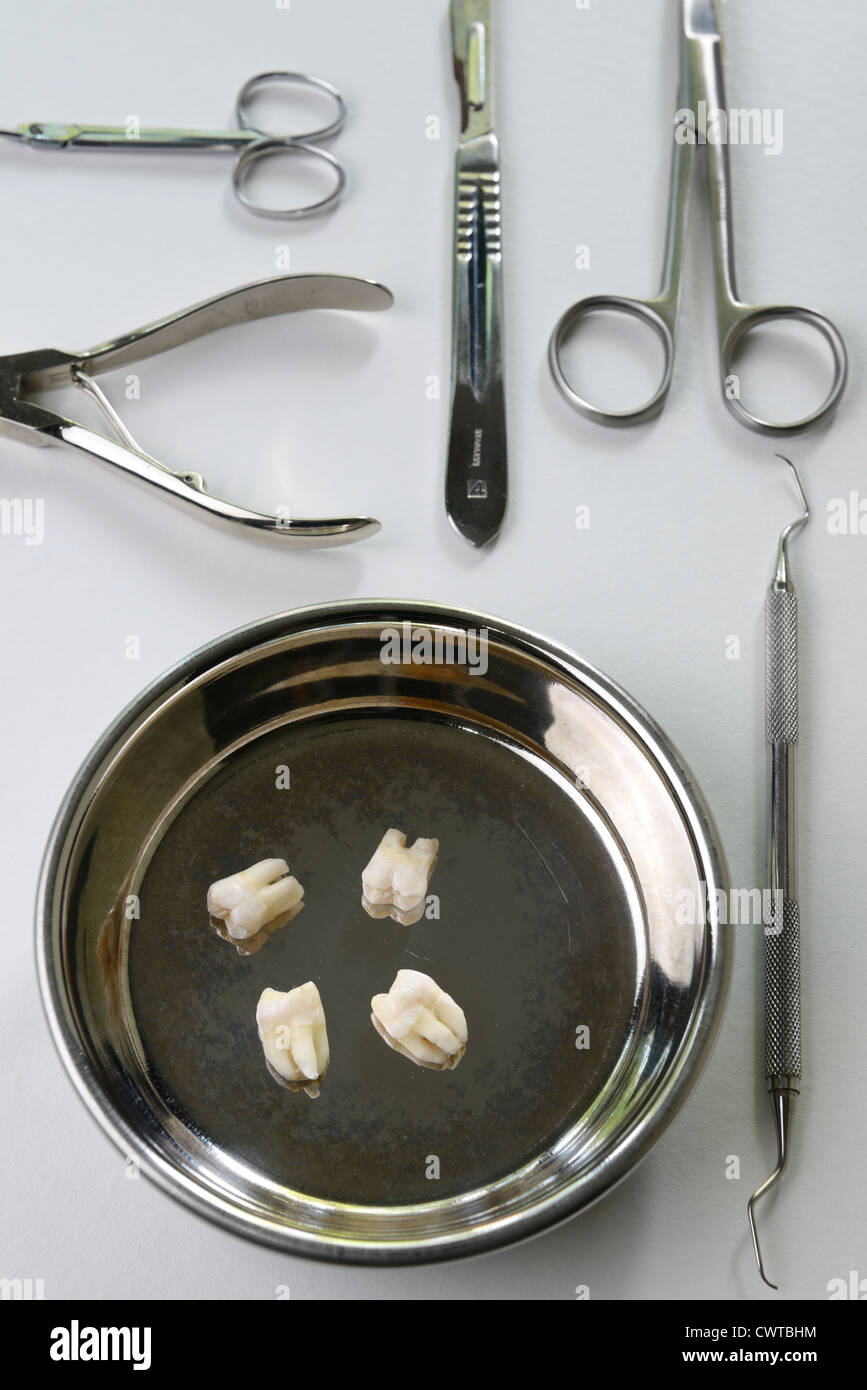 Instruments de chirurgie dentaire primitives extraites et quatre dents de sagesse Banque D'Images