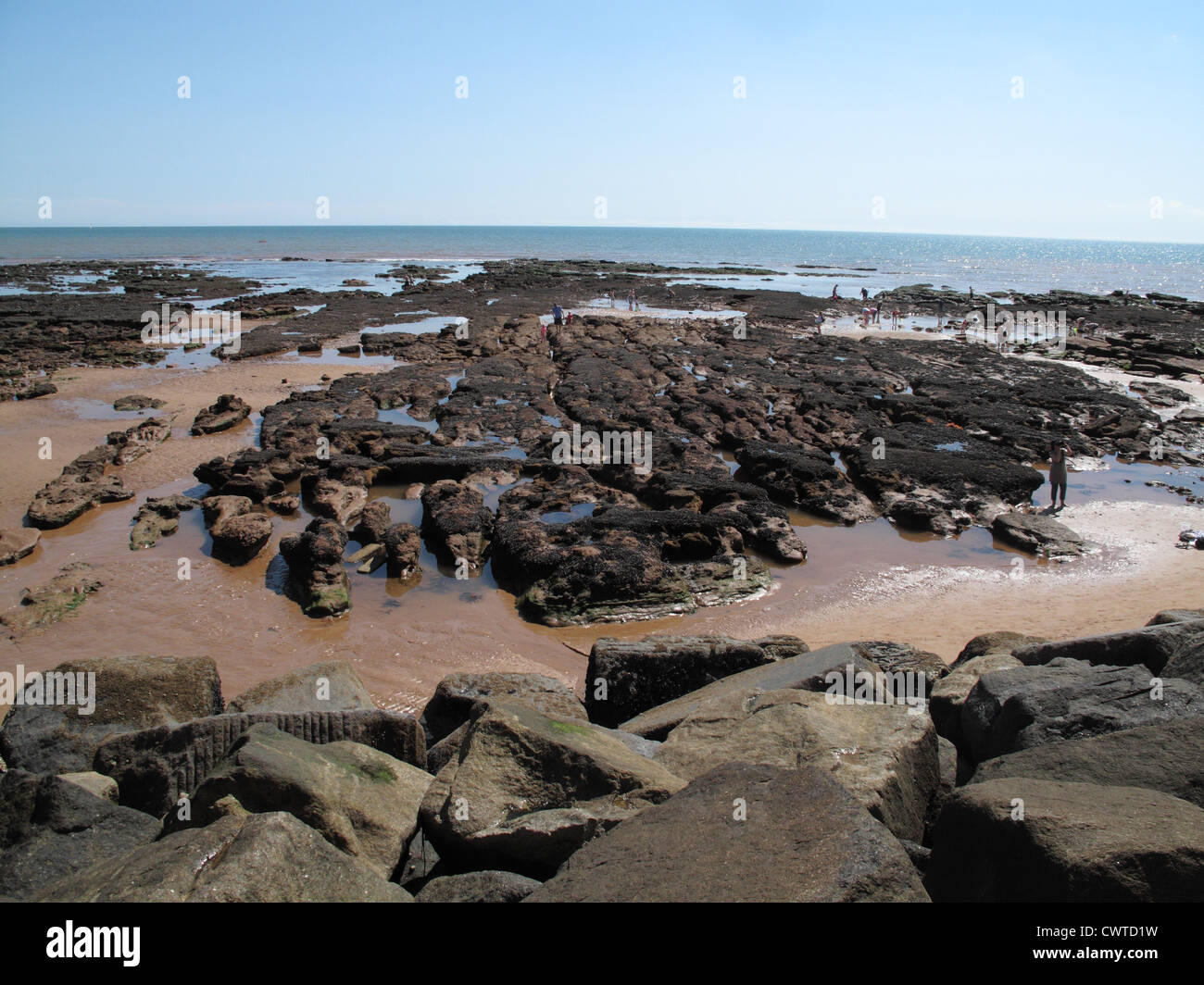 Rock pools et les vacanciers à Sidmouth de Jacobs Ladder sur une belle journée d'août, Devon Banque D'Images