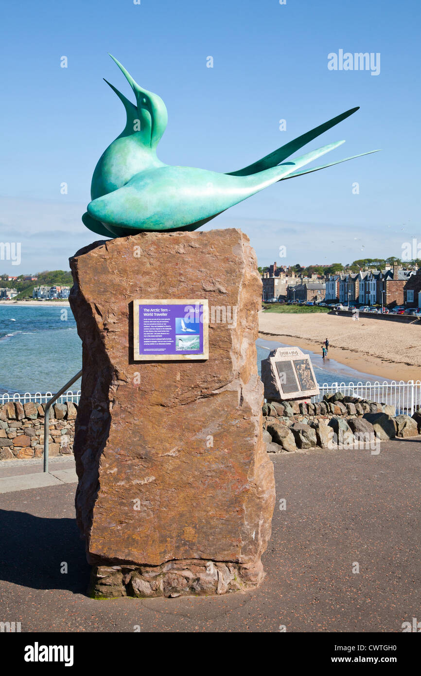 Sterne arctique sculpture surplombant la baie de Milsey, North Berwick, East Lothian, en Ecosse. Banque D'Images