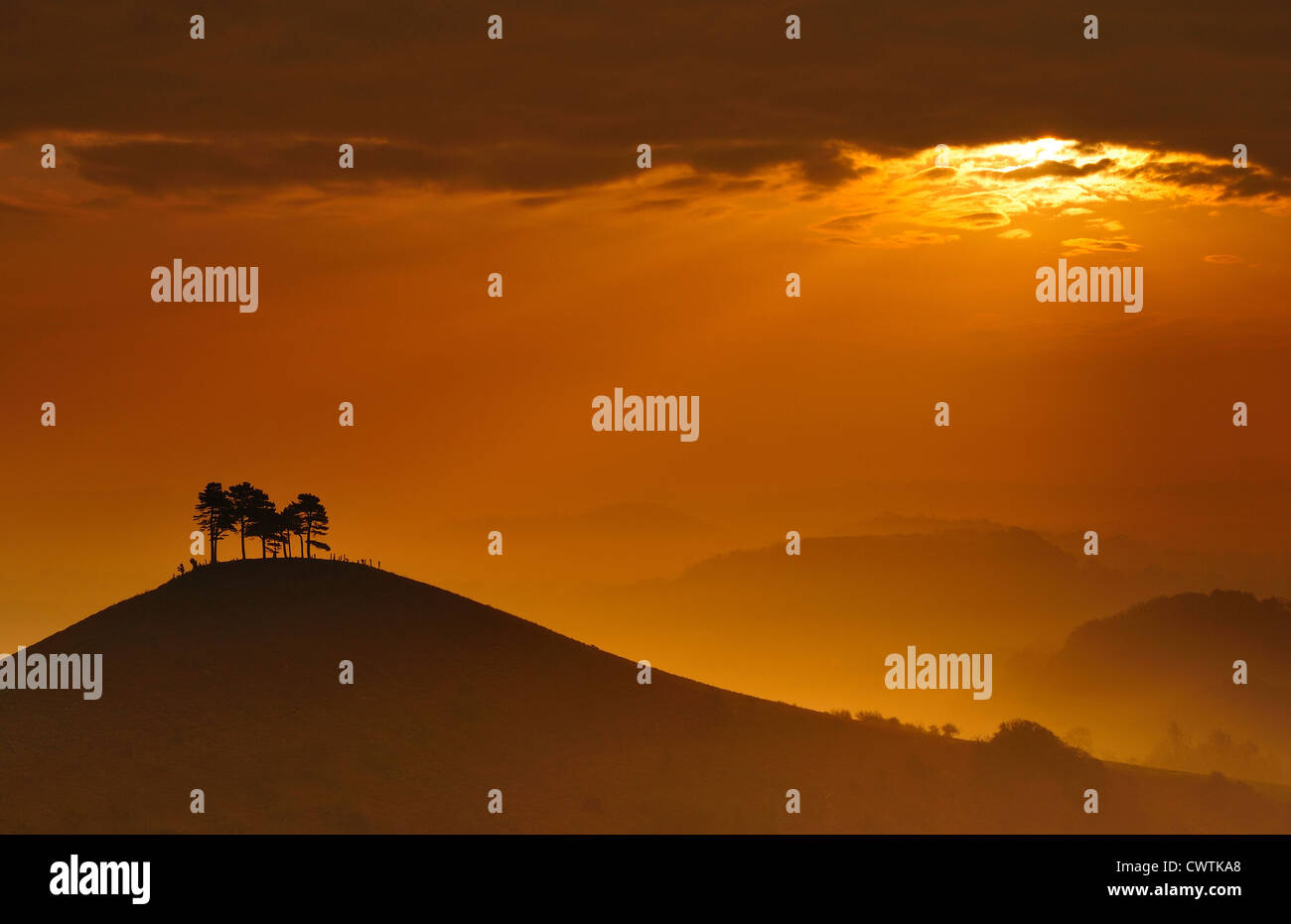 Colmers Hill au lever du soleil. Banque D'Images