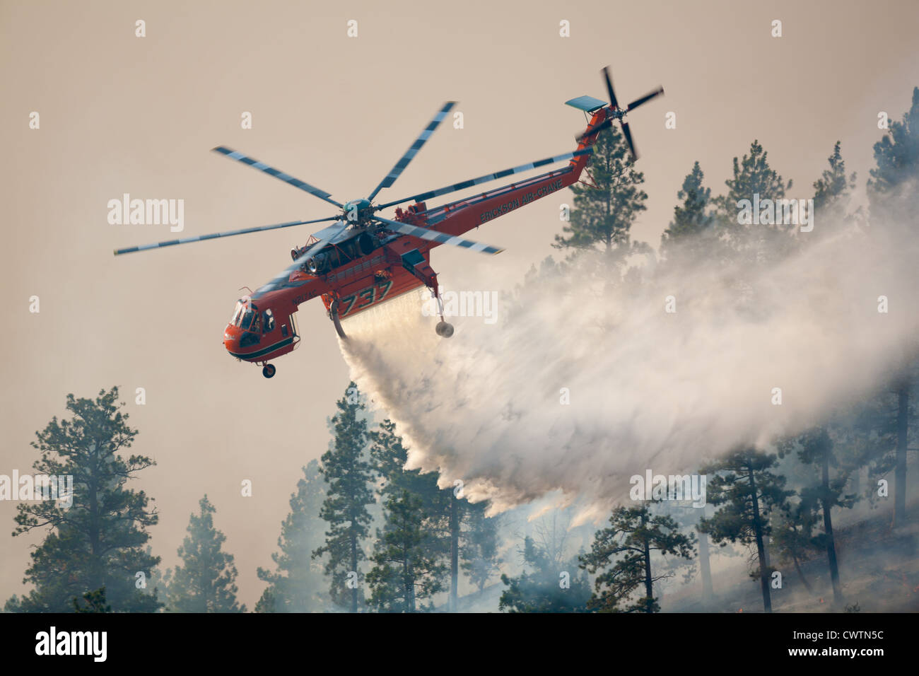 Citerne aérienne de l'eau chute d'hélicoptère sur les incendies de forêt dans l'ouest du Montana, USA Banque D'Images