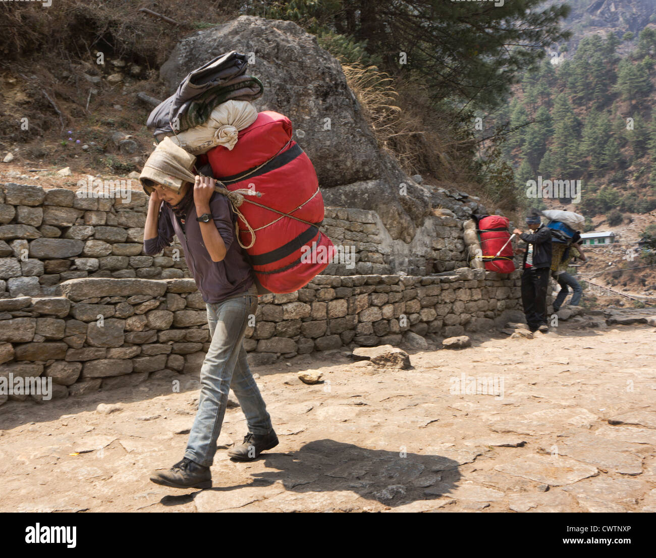 Un porteur chargé de la charge sur le sentier pour Camp de base de l'Everest au Népal Banque D'Images Un porteur chargé de la charge sur le sentier pour Camp de base de l'Everest au Népal Banque D'Images