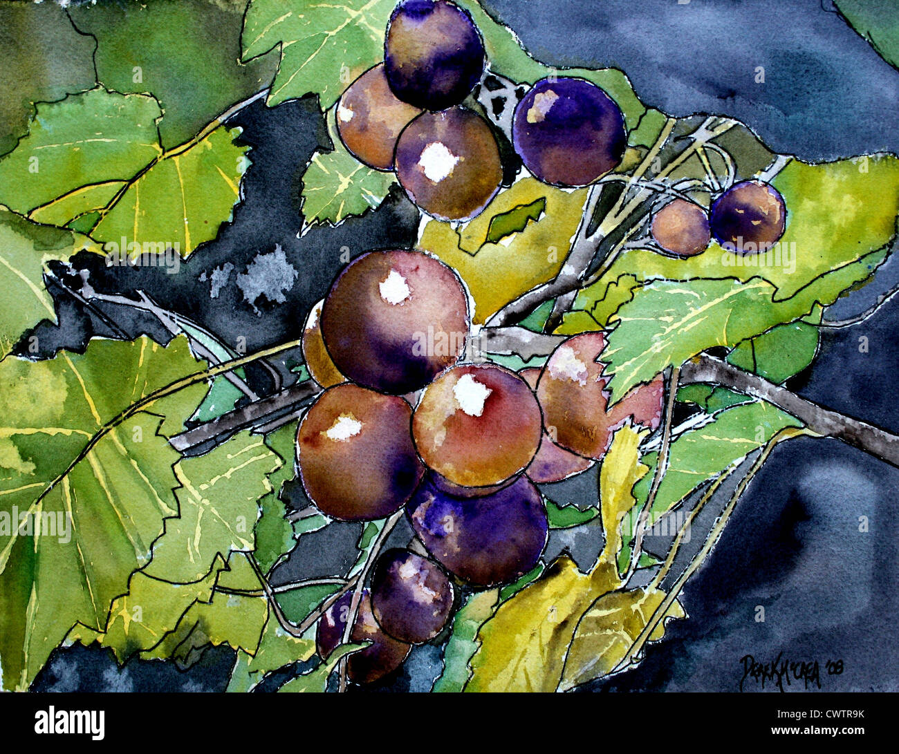 Vigne raisin still life peinture aquarelle Banque D'Images