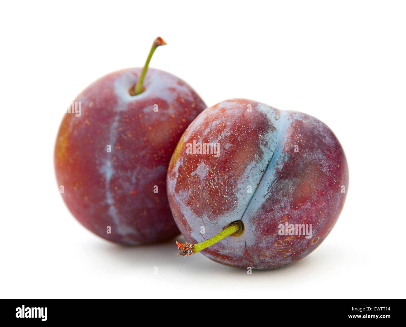 Prune isolé sur fond blanc Banque D'Images