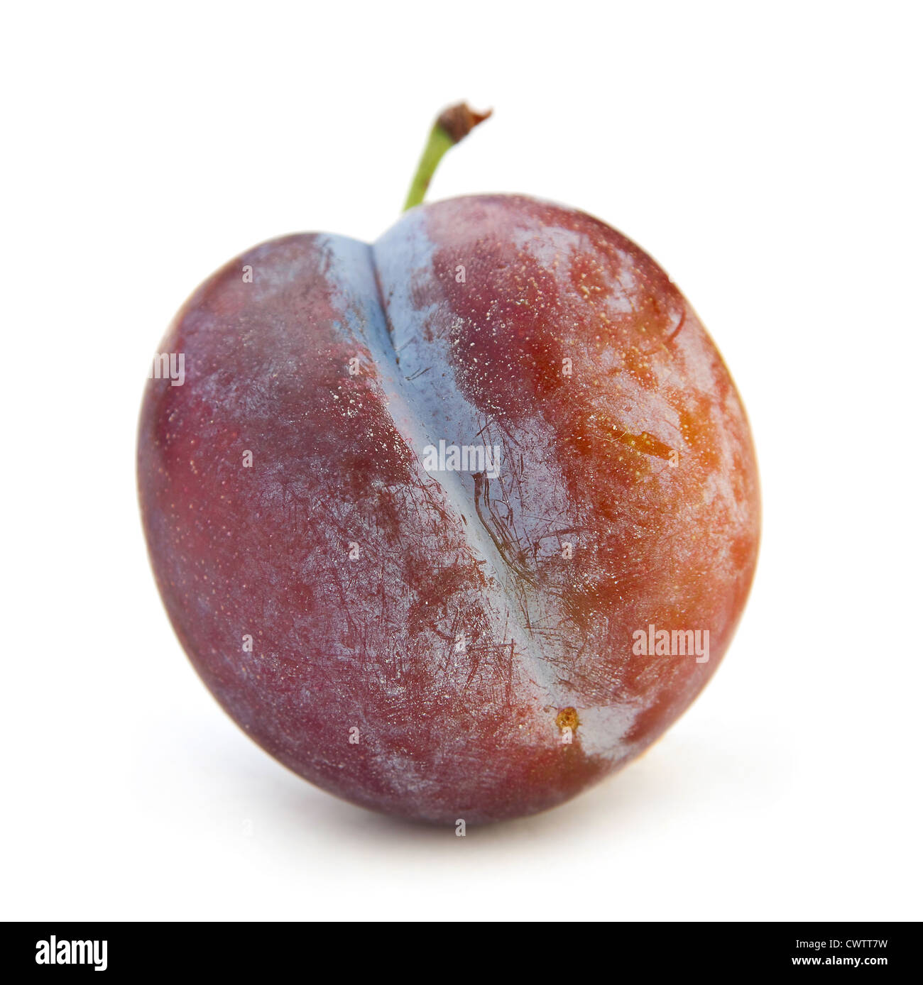 Prune isolé sur fond blanc Banque D'Images