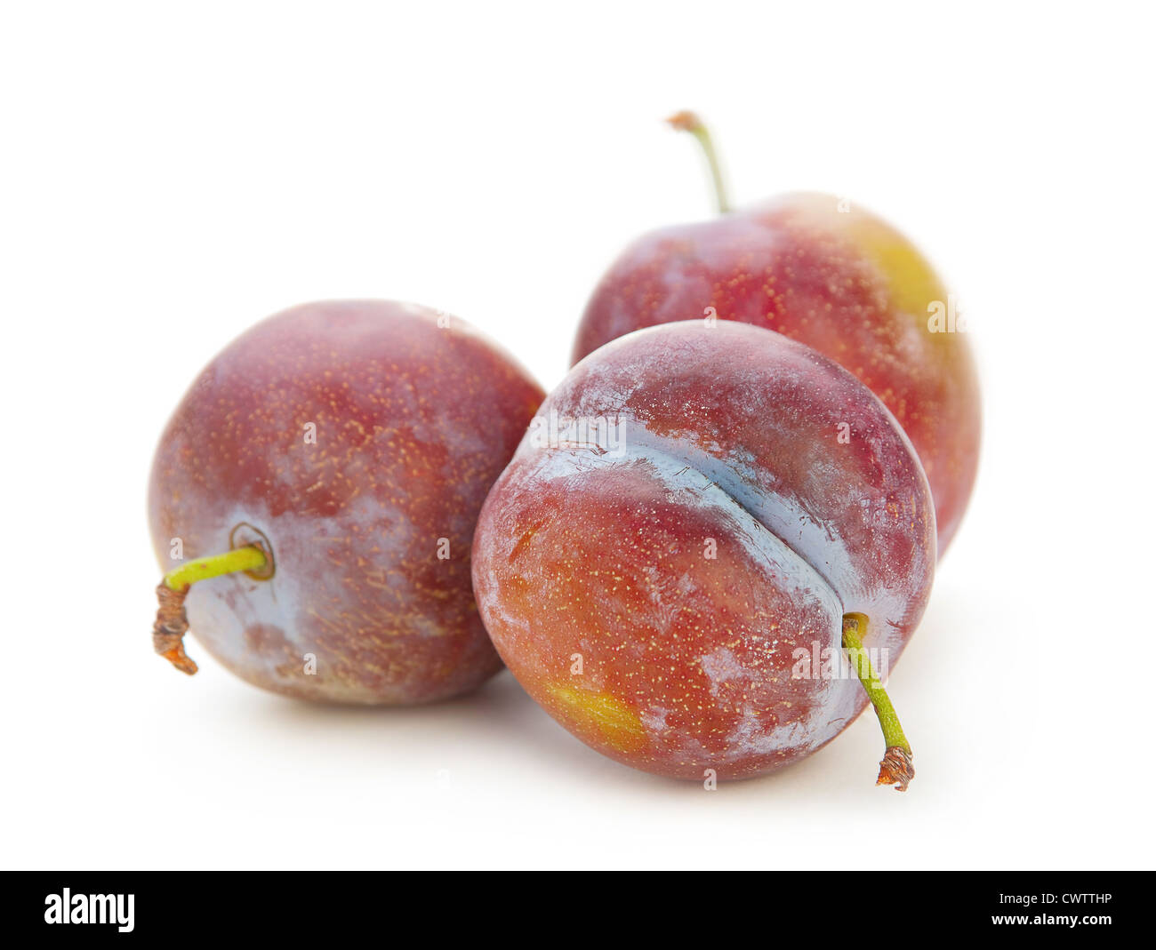 Prune isolé sur fond blanc Banque D'Images