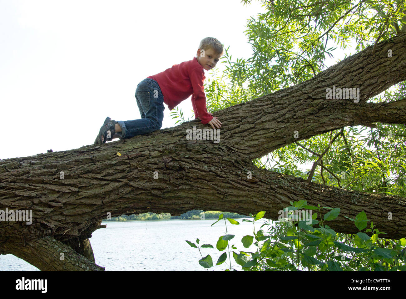 Jeune garçon en rampant le long d'un arbre tombé Banque D'Images