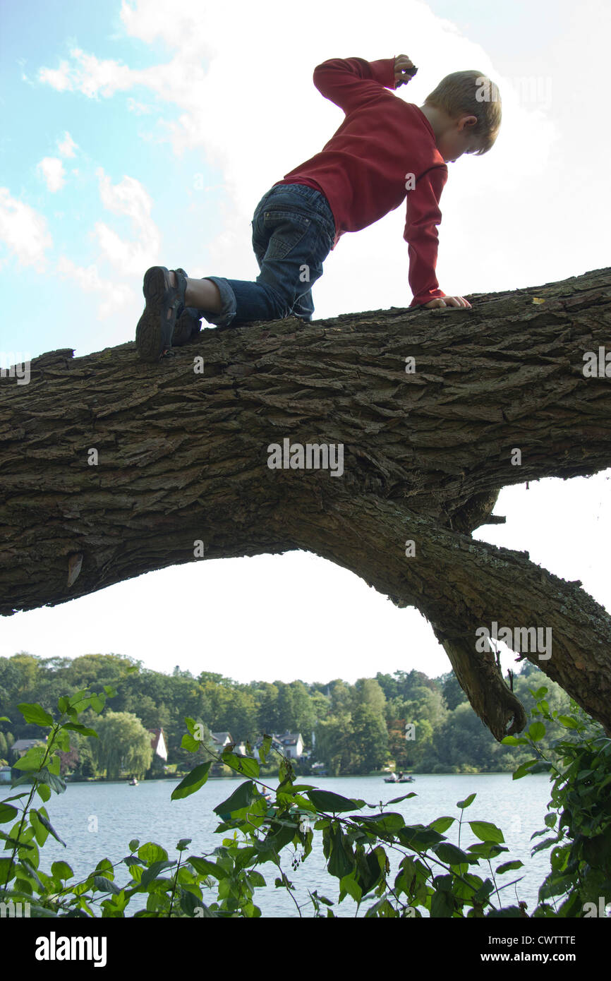 Jeune garçon en rampant le long d'un arbre tombé Banque D'Images