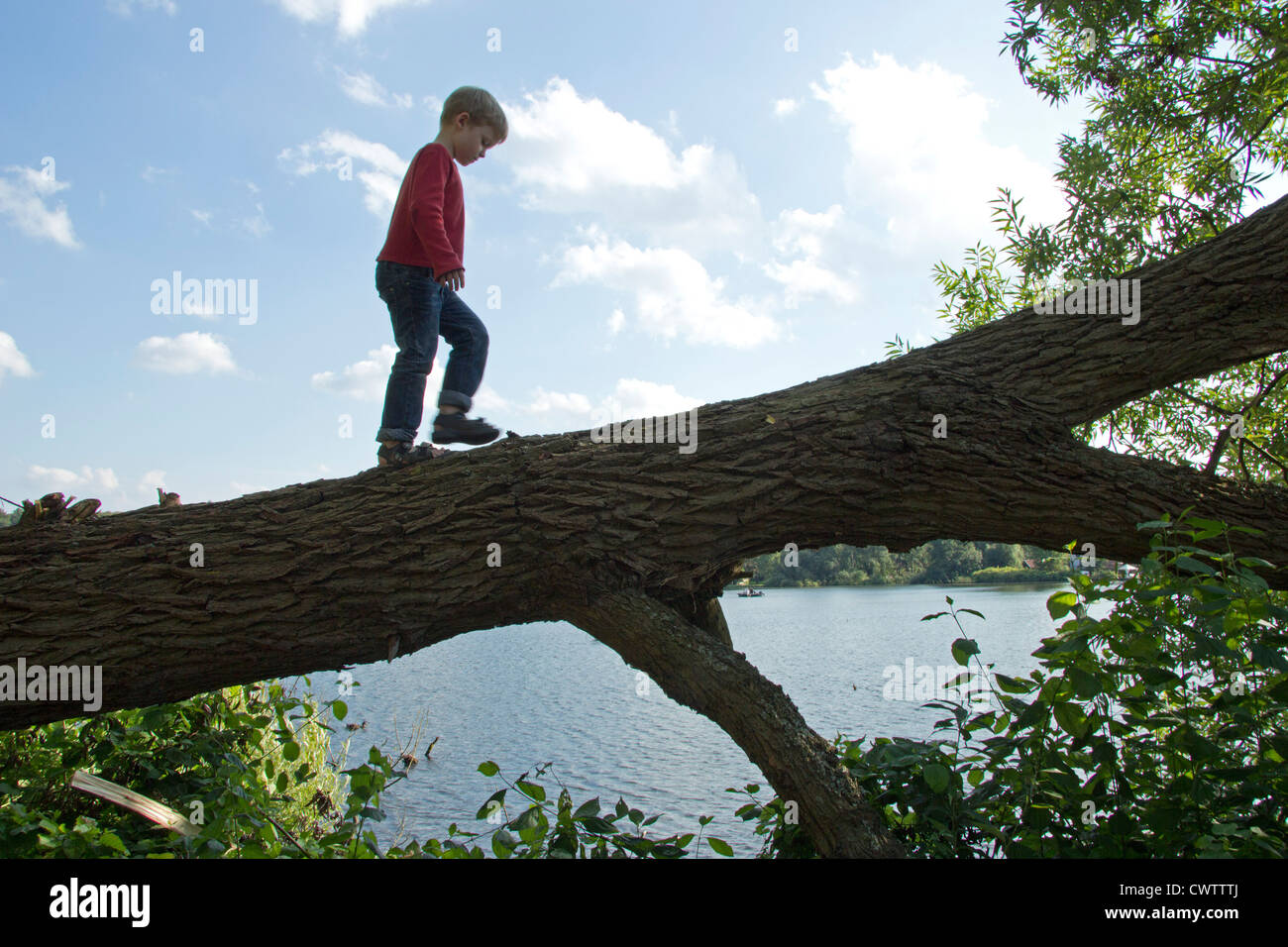 Jeune garçon marchant le long d'un arbre tombé Banque D'Images