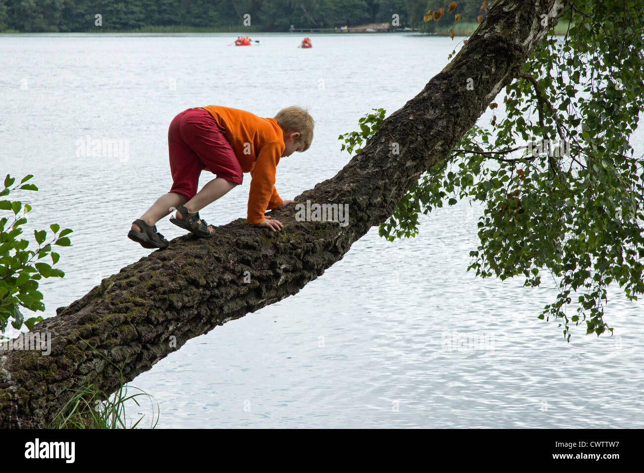 Jeune garçon escalade un arbre qui grandit au-dessus d'un lac Banque D'Images