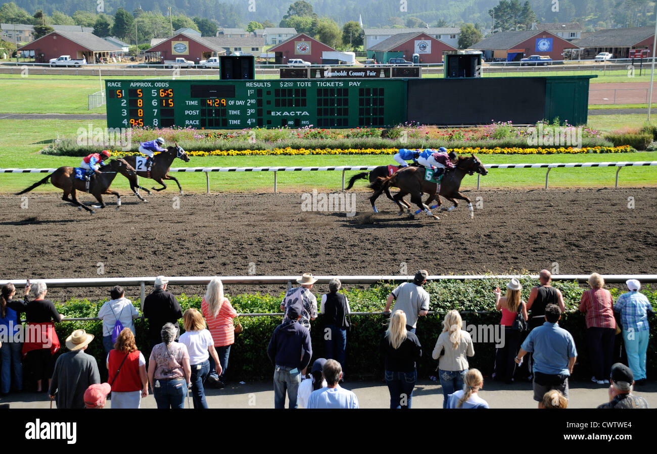 Chevaux qui courent à Humboldt County Fairgrounds passant des spectateurs et des fleurs à Ferndale infield, Californie Banque D'Images