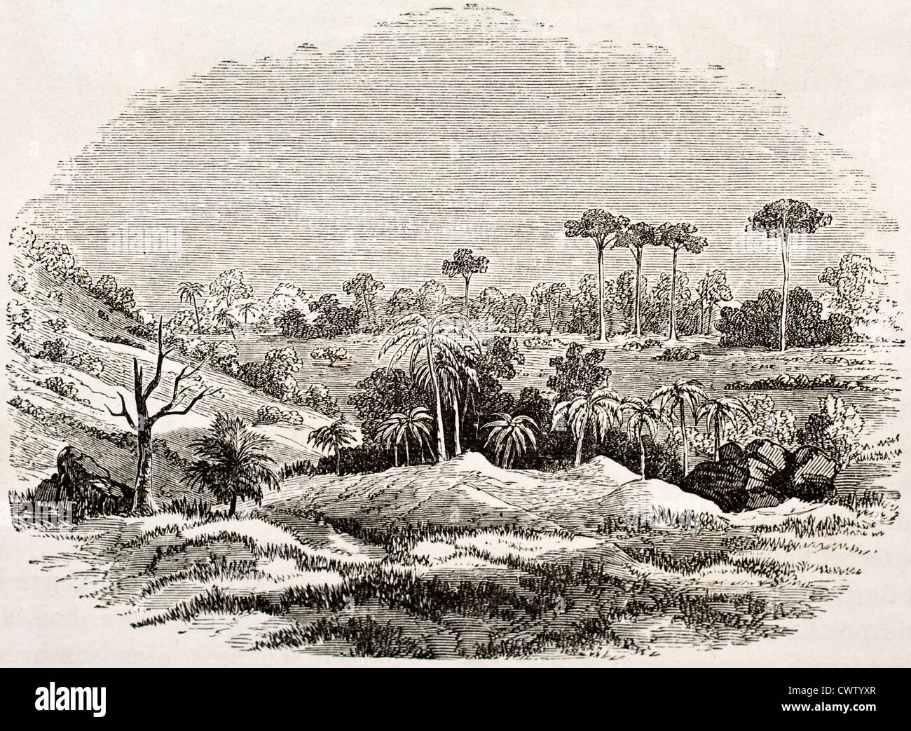 Site de source thermique à Zanzibar Banque D'Images