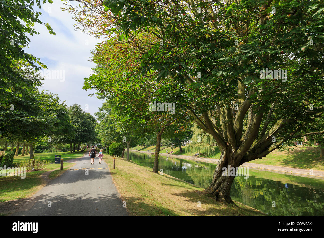 Horse Chestnut Tree bordé d'arbres sur pied par voie Mesdames au bord du canal Le Canal Militaire Royal de Hythe, dans le Kent, Angleterre, Royaume-Uni, Angleterre Banque D'Images