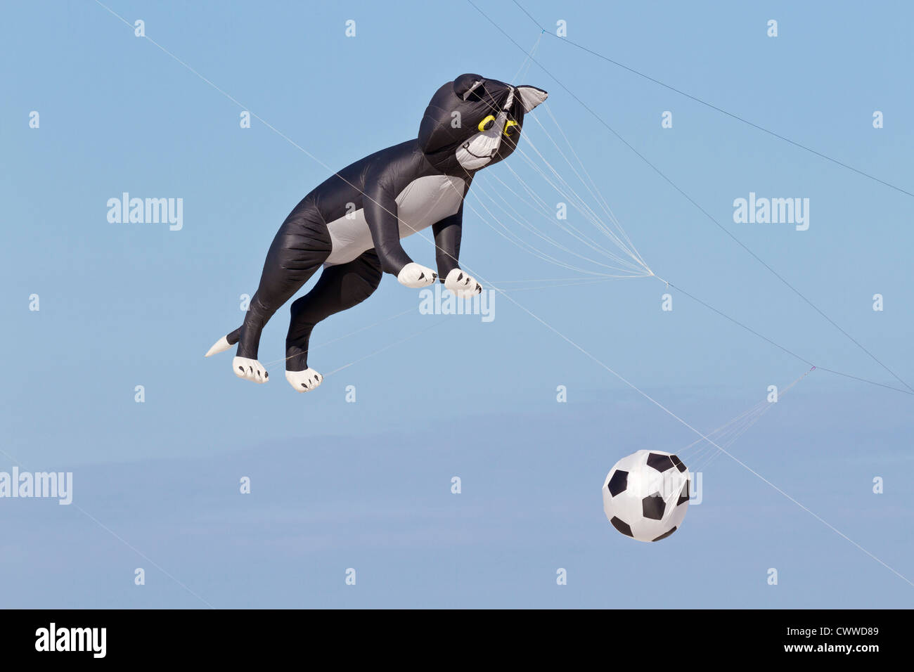 Cerf Volant En Forme De Chat Et D Un Ballon Volant A L Ile Au Tresor Kite Festival A Treasure Island Floride Photo Stock Alamy