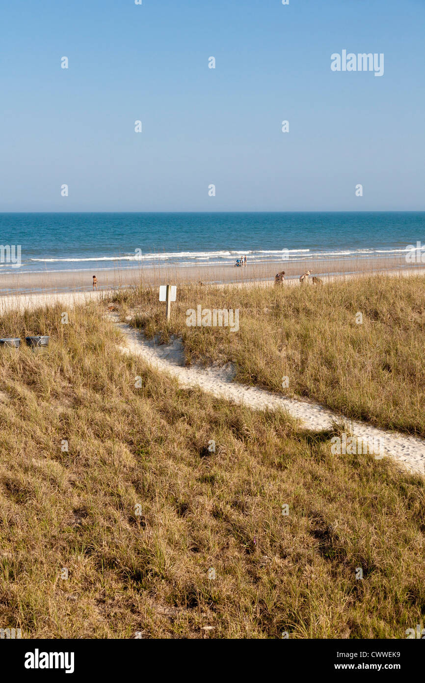 Allée de sable dans les graminées sur des dunes de sable sur la plage à Amelia Island, Floride Banque D'Images