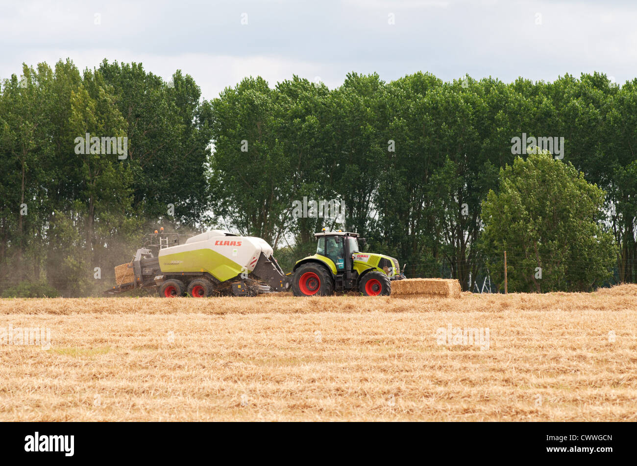 La ramasseuse-presse à foin et foin récolte tracteur à Rochemenier, Maine-et-Loire, Pays de la Loire, France. Banque D'Images