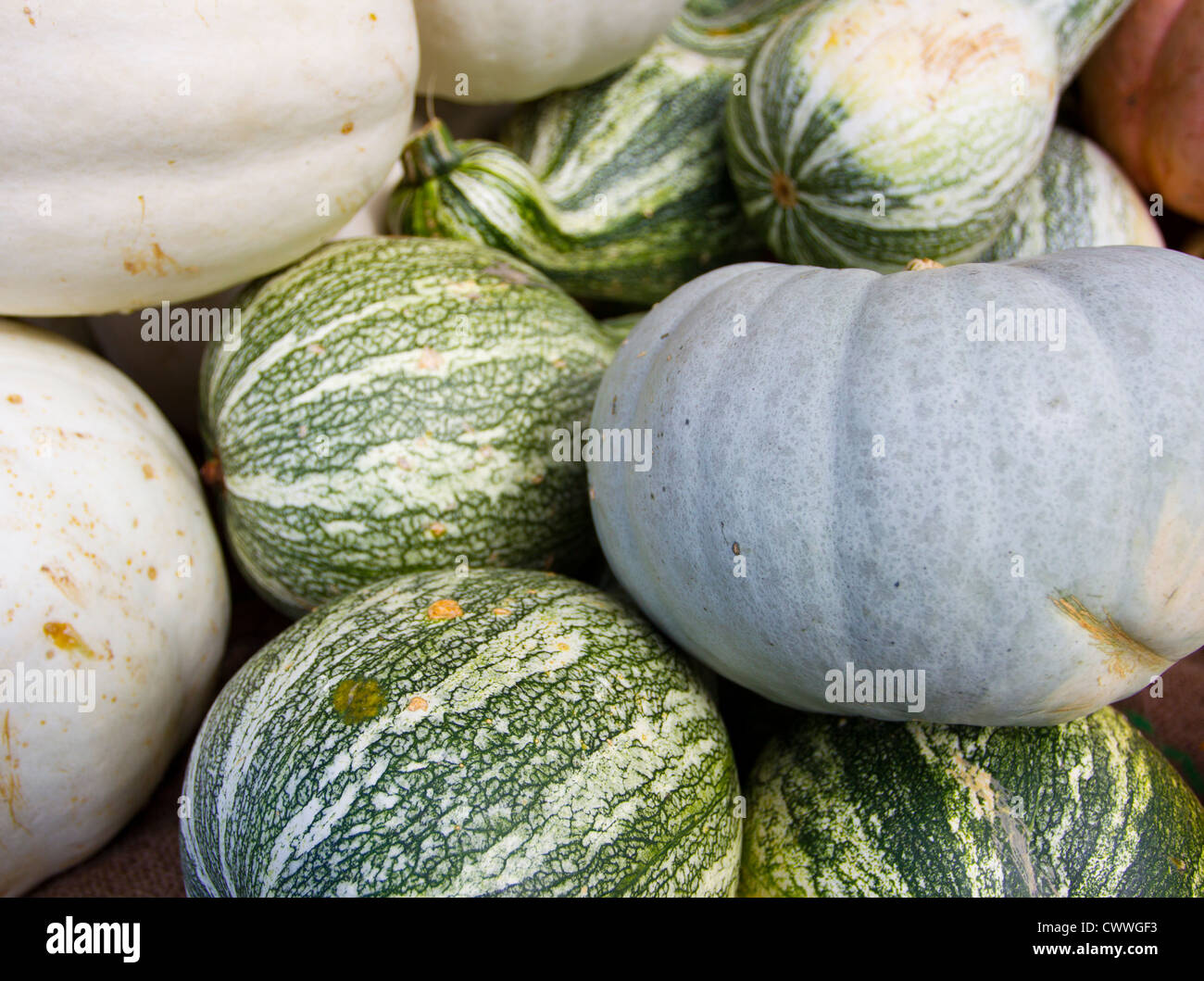 Variété de courges à la vente à un marché plein air Banque D'Images