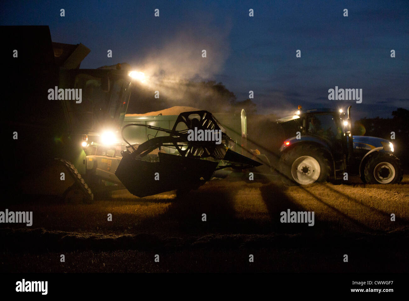 Un fermier moissonne le blé dans le noir Banque D'Images
