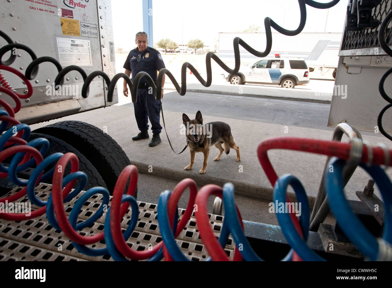 Les agents des douanes et de la protection des frontières des camions pour contrôler les drogues possibles cachés dans les véhicules avec l'aide de chiens entraînés Banque D'Images