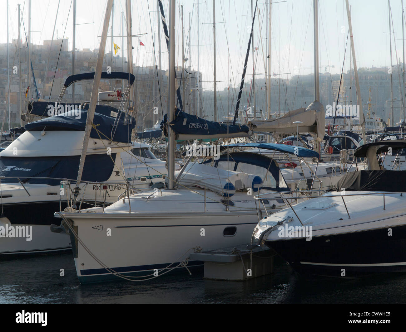 Voiliers modernes dans le Grand Port de La Valette, île de Malte, Méditerranéenne Banque D'Images