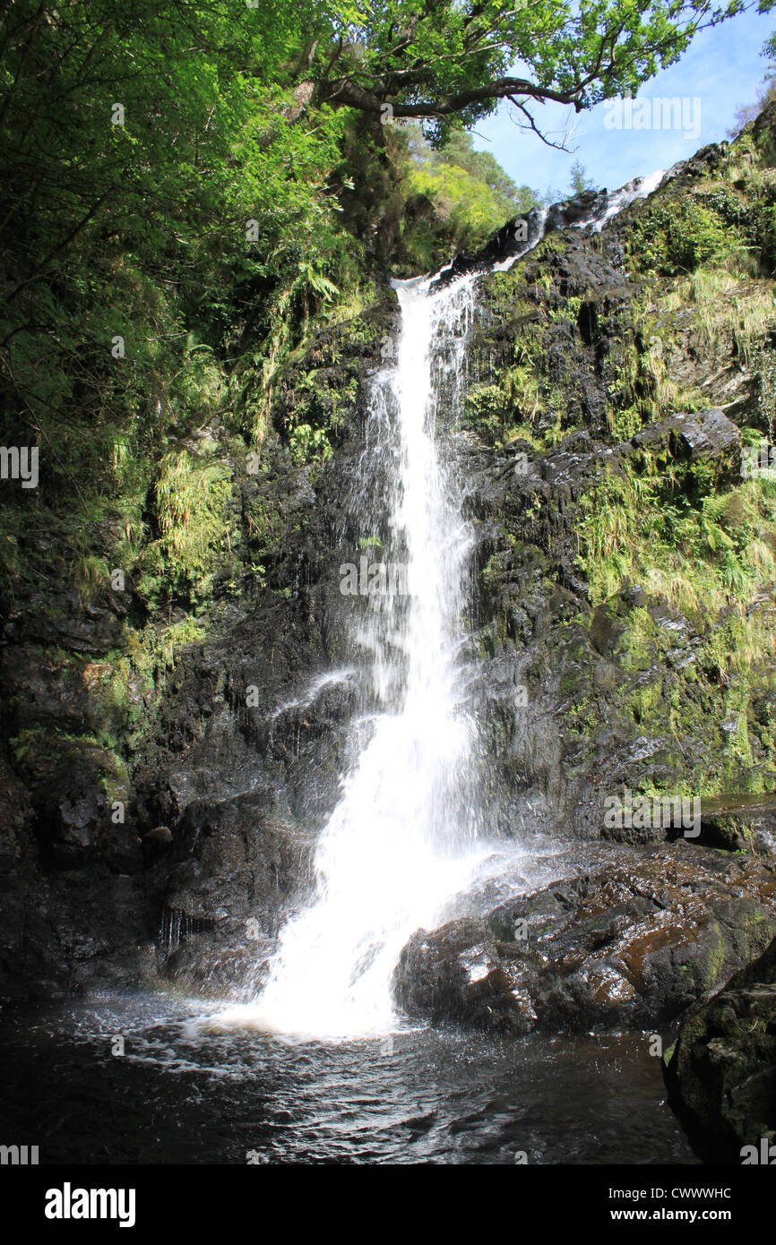 Queue de la jument grise (cascade) sur la queue de jument grise brûler dans Galloway Forest Park, Dumfries et Galloway, Écosse région. Banque D'Images