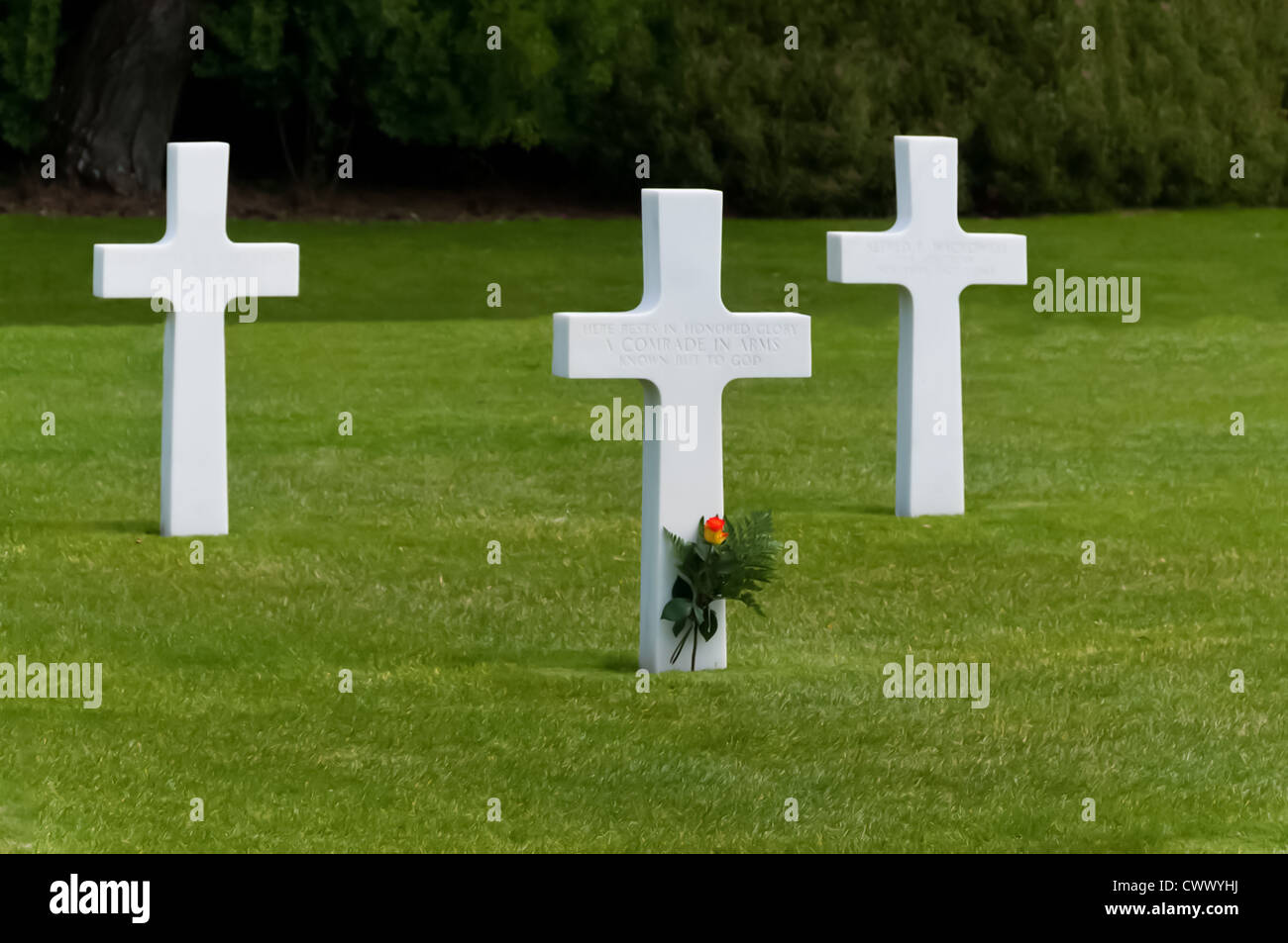 Le cimetière américain de Colleville sur Mer en Normandie Banque D'Images