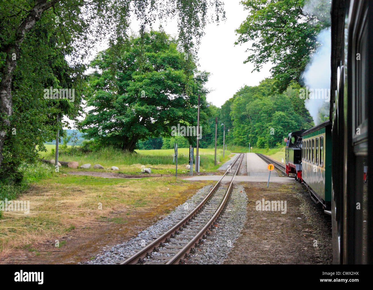 Narrow Gauge Steam Train 'Rasender Roland' en Putbus, Ruegen Banque D'Images