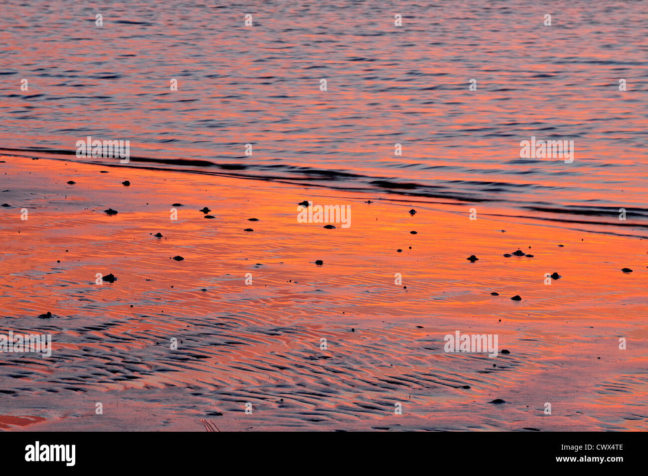 Les vasières à marée basse de l'île de Sanibel causeway rivage au lever du soleil, Sanibel Island, Floride, USA Banque D'Images