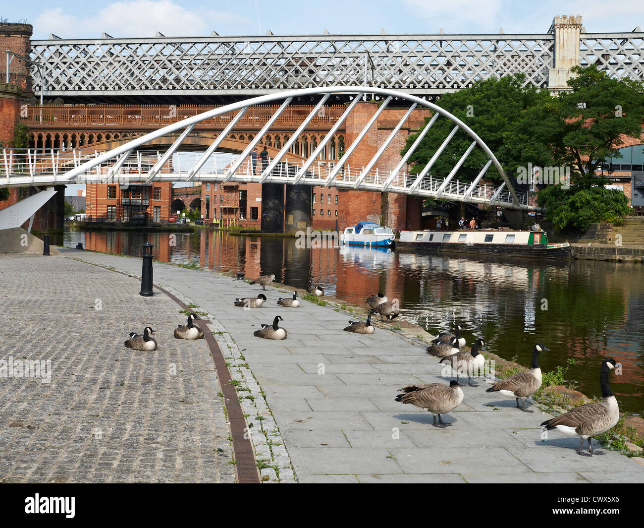 Commerçants Pont sur canal de Bridgewater avec oies dans le Castlefield Manchester UK Banque D'Images