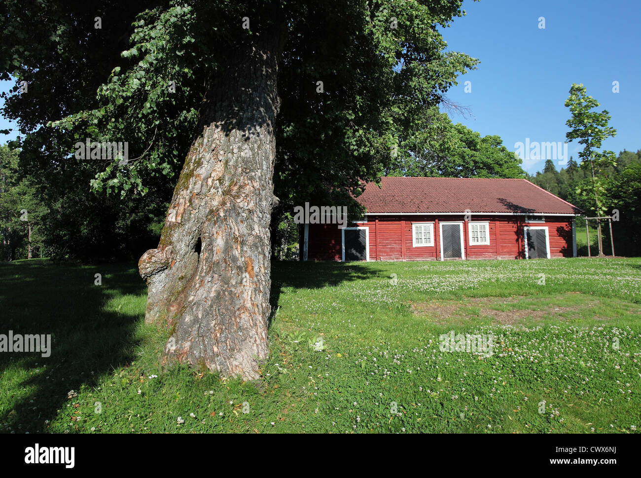 Paysage d'été en milieu rural à l'abri de rouge en Finlande Banque D'Images