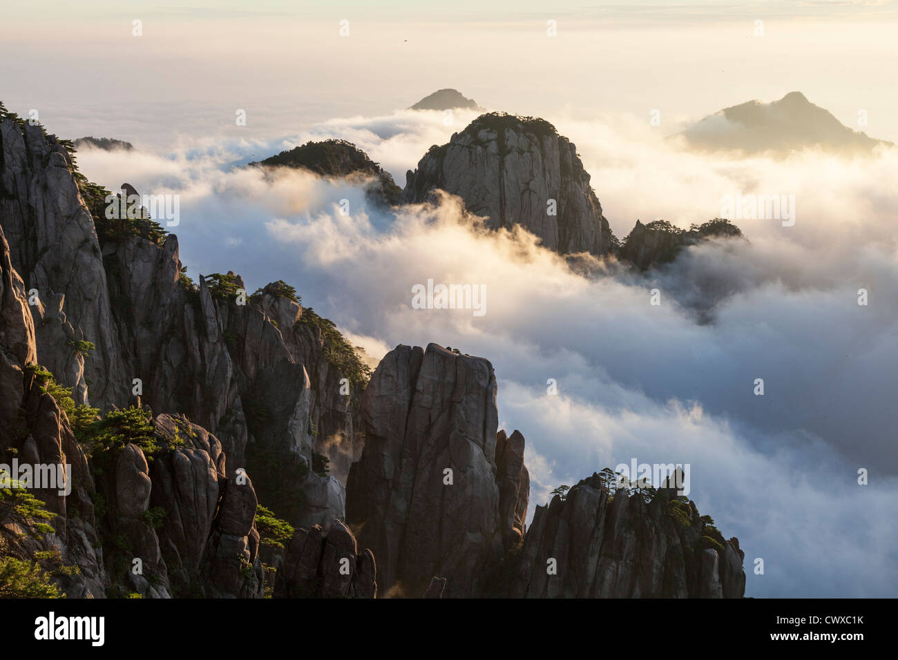 Mountain Huangshan (montagnes jaunes) tôt le matin Banque D'Images Mountain Huangshan (montagnes jaunes) tôt le matin Banque D'Images