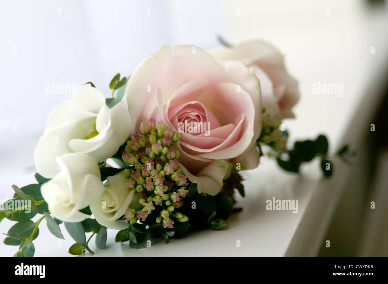 Fleur fleurs mariage rose roses fleuristes fleuriste trous trou du bouton de mariages Banque D'Images