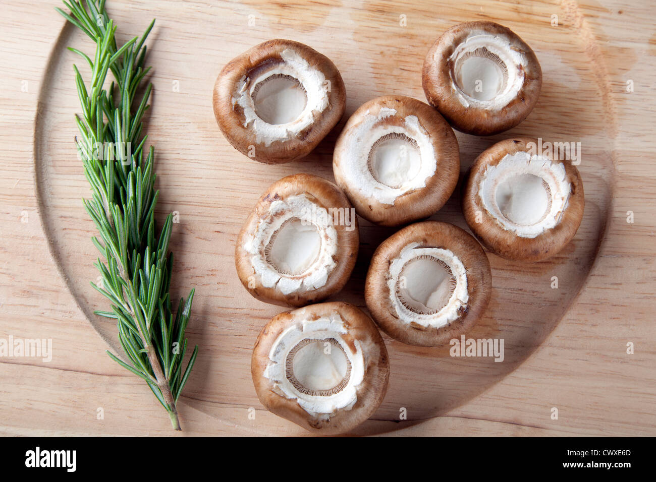 Les chapeaux des champignons et le romarin sur plaque de bois. Banque D'Images