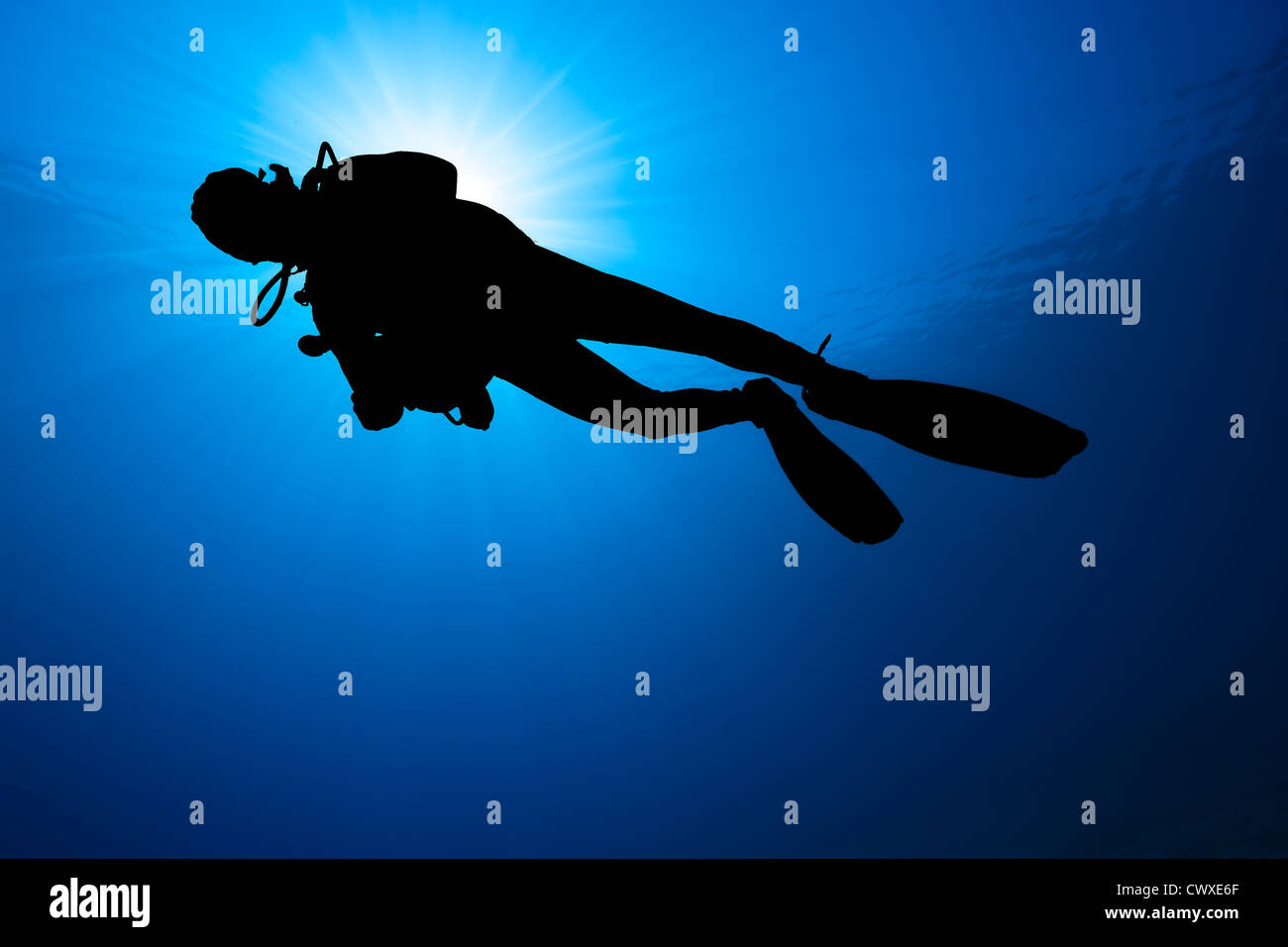 Silhouette d'un plongeur dans l'eau bleue avec un sunburst derrière Banque D'Images