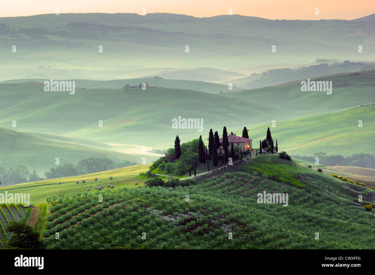 Matin, Toscane Val d'Orcia, Italie Banque D'Images