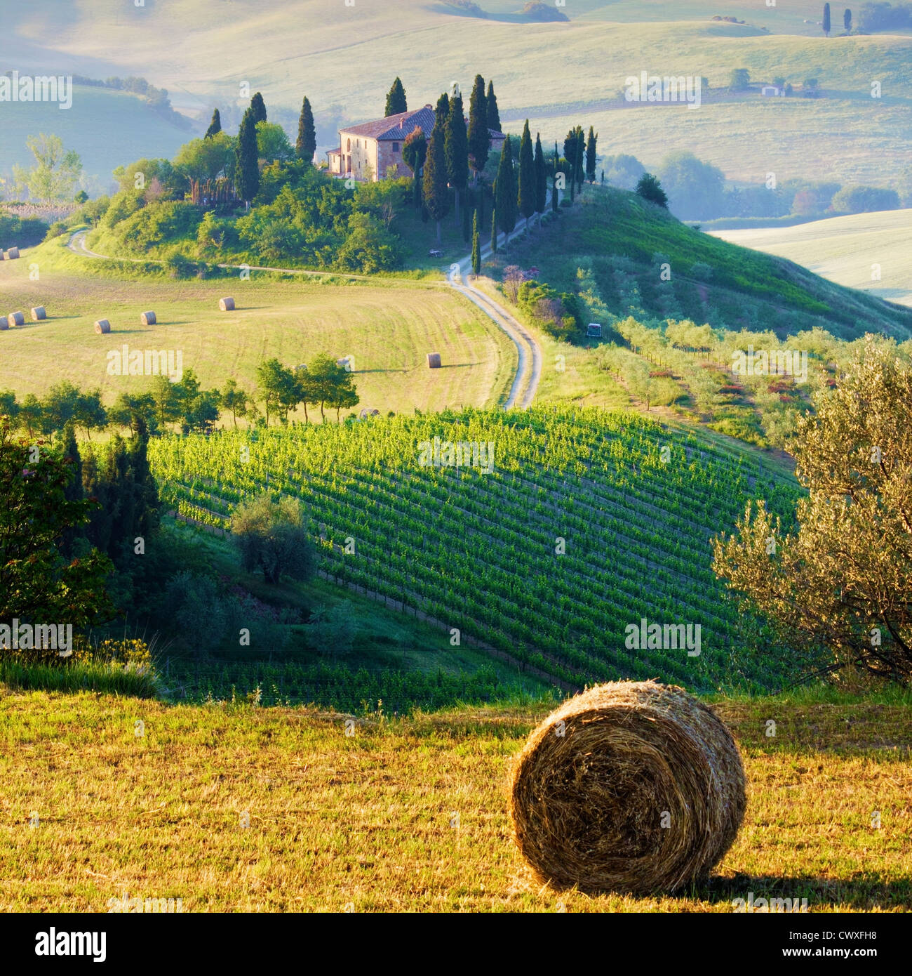 Une belle ferme dans le Val d'Orcia, Toscane. Banque D'Images