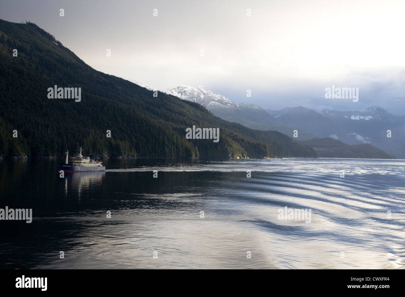 Bateau de pêche passe dans de l'eau réfléchissante encore du Queen Charlotte Strait, le détroit de la Reine-Charlotte, Colombie-Britannique, Canada Banque D'Images